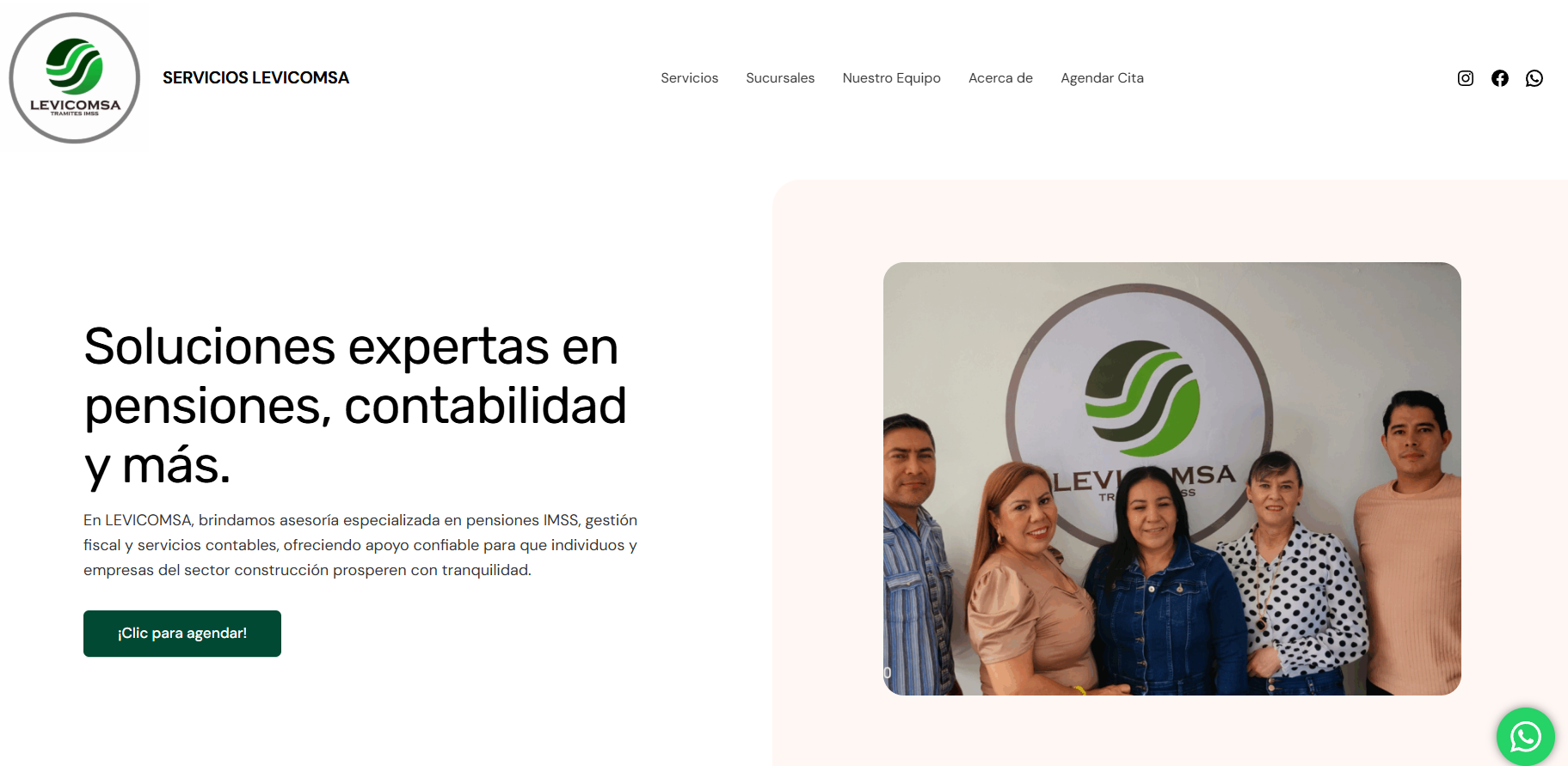 Vista previa del sitio Levicomsa